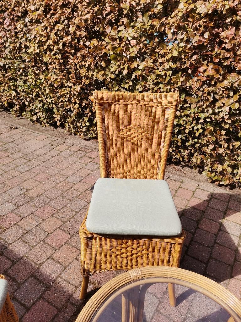 Rieten stoelen, Huis en Inrichting, Ophalen, Zo goed als nieuw, Riet of Rotan, Twee