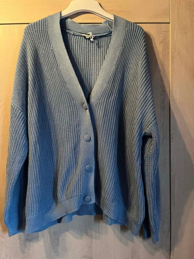 gilet blauw bel bo 50, Kleding | Dames, Grote Maten, Blauw, Trui of Vest, Bel & Bo, Ophalen of Verzenden