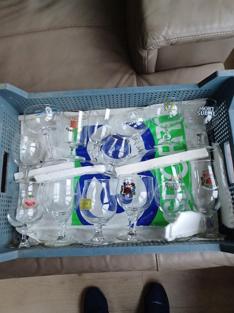 Bierglazen verschillende biersoorten, Ophalen of Verzenden