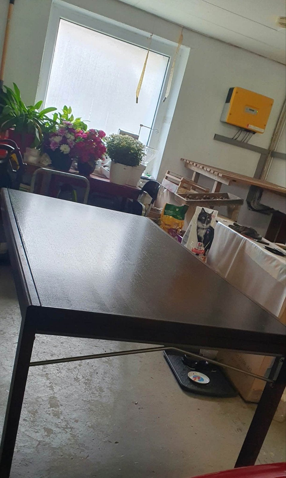Grande table salle à manger, Maison & Meubles, Enlèvement