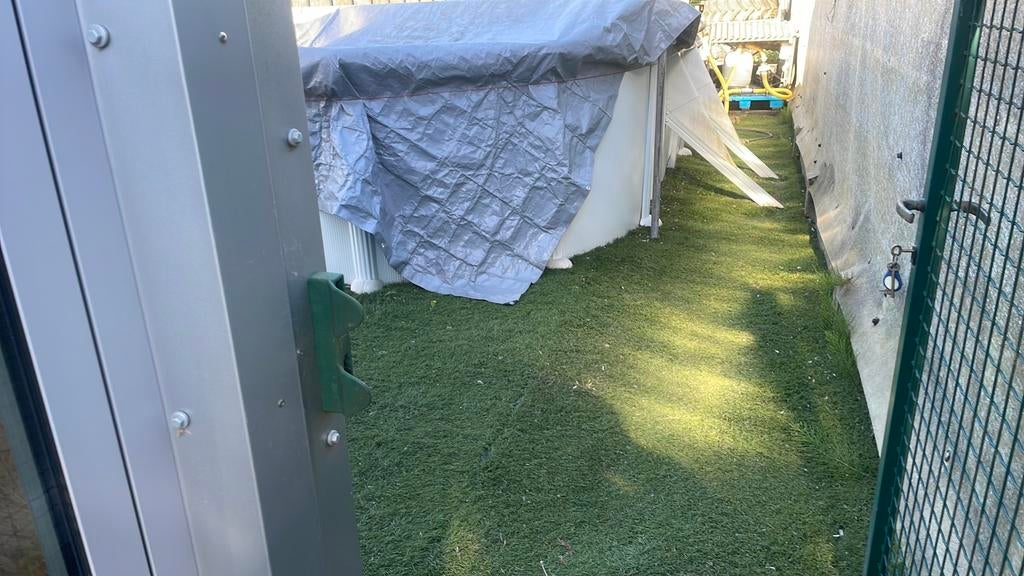 Zwembad gre met kunstgras omheen, Gebruikt, 300 cm of meer, Ovaal, Ophalen