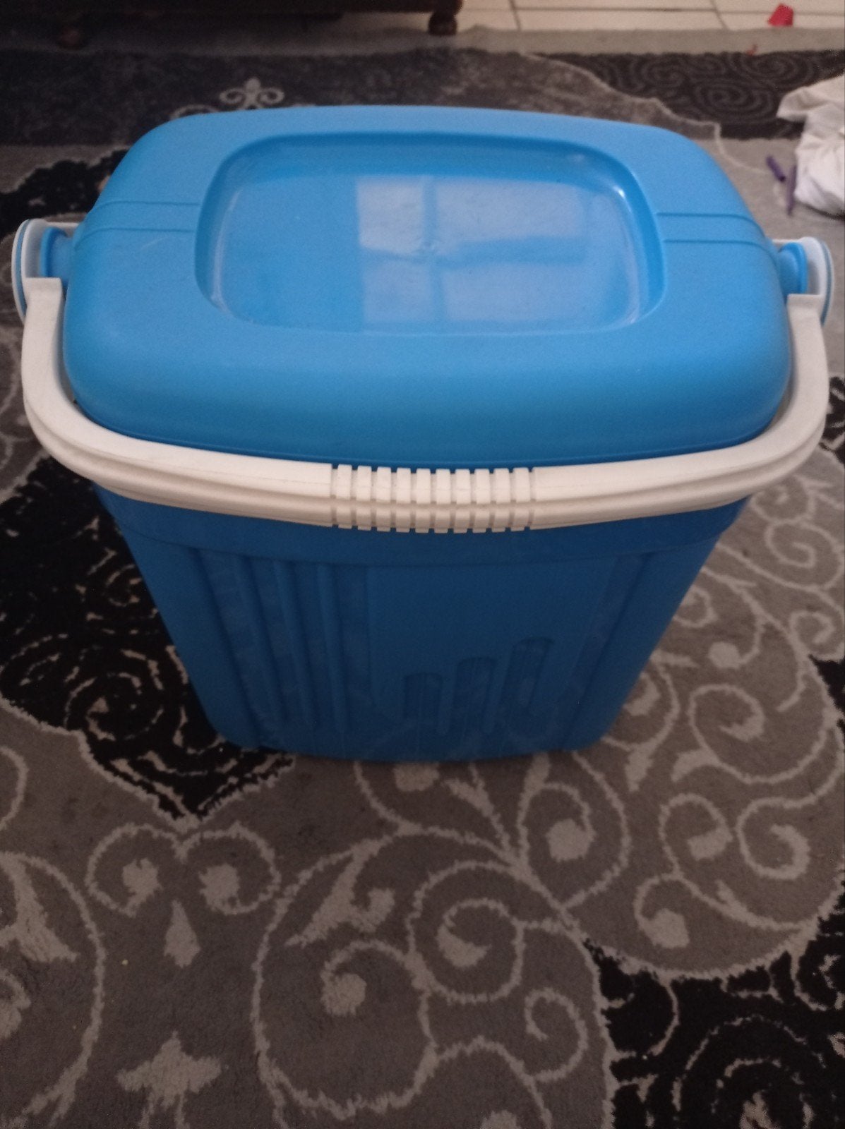 Koelbox Curver, Ophalen of Verzenden, Koelbox