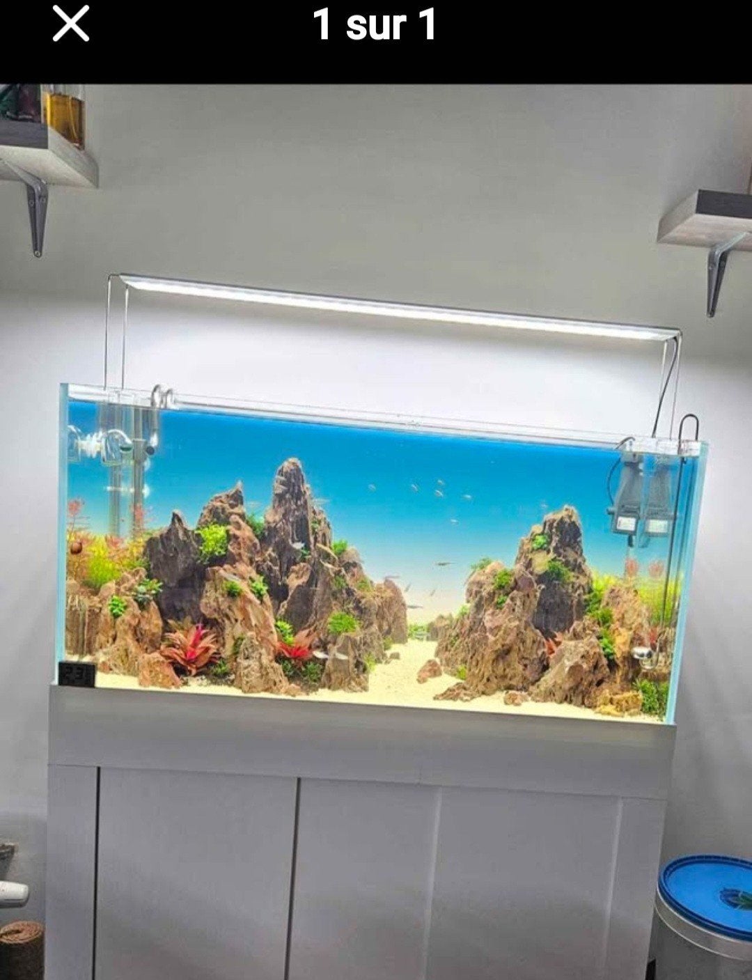 aquarium aquascaping, Enlèvement