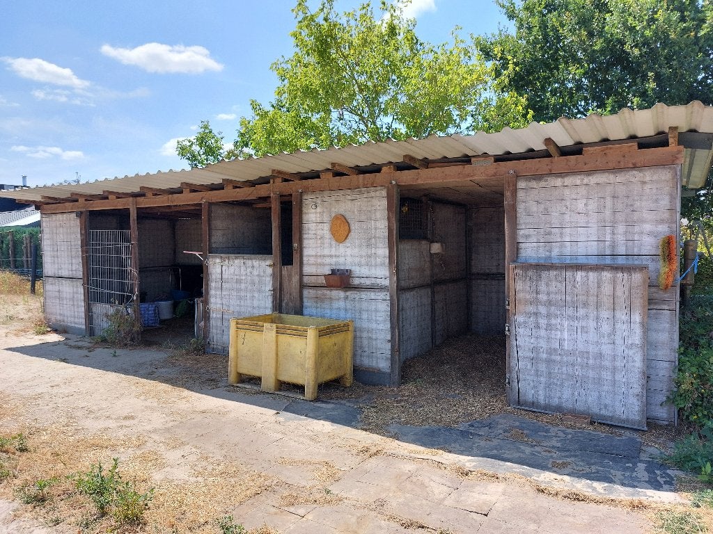 Stal te koop, Mise à l'étable, 2 ou 3 chevaux ou poneys