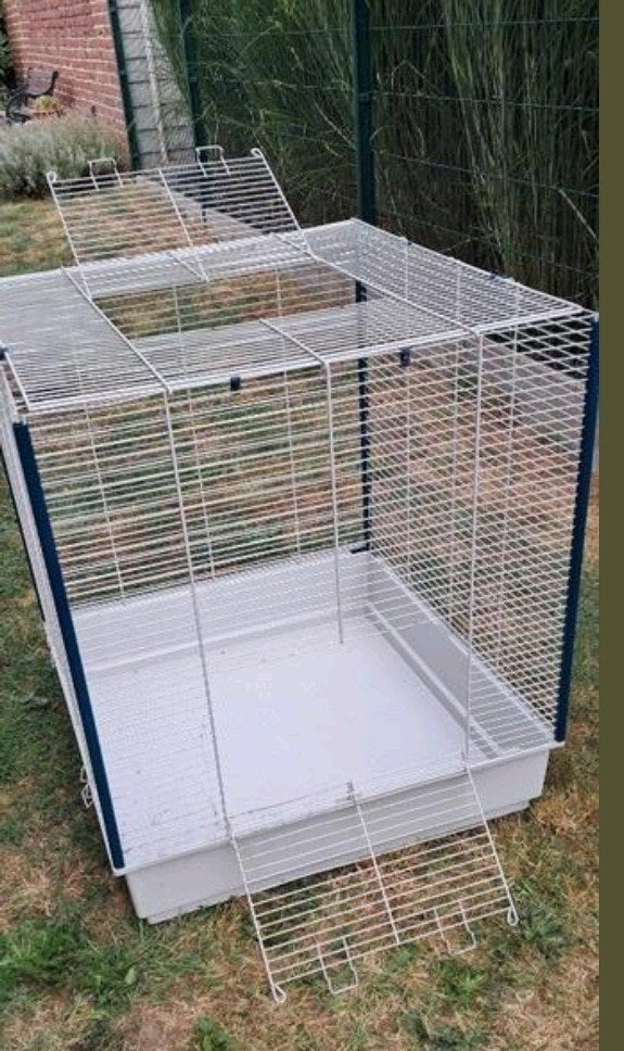 kooi voor hamster cavia's ratten. met tunnel en 3 verdieping, Dieren en Toebehoren, Ophalen, Gebruikt, 75 tot 110 cm, 65 tot 100 cm