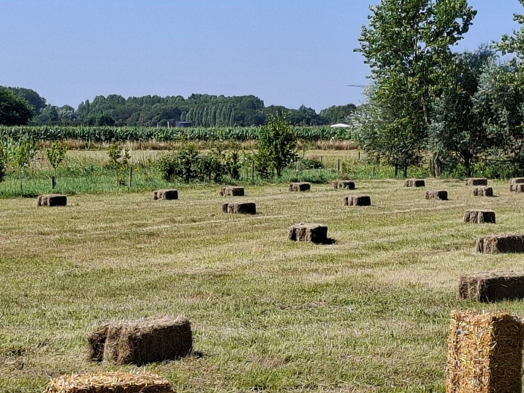 Hooi kleine balen eerste snee