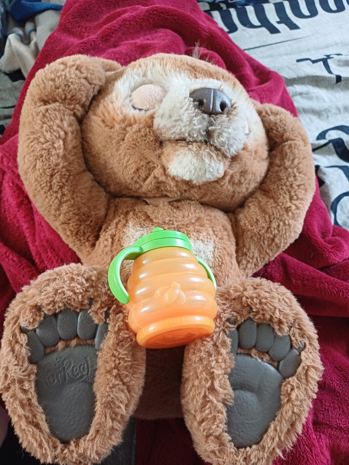 FurReal Cubby de beer, Ophalen