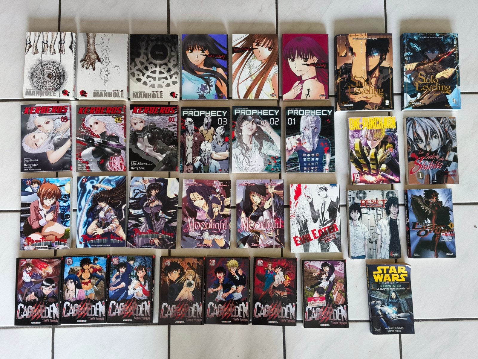 Lot mangas divers Solo Leveling Prophecy Cage of Eden Gunnm., Boeken, Ophalen, Zo goed als nieuw