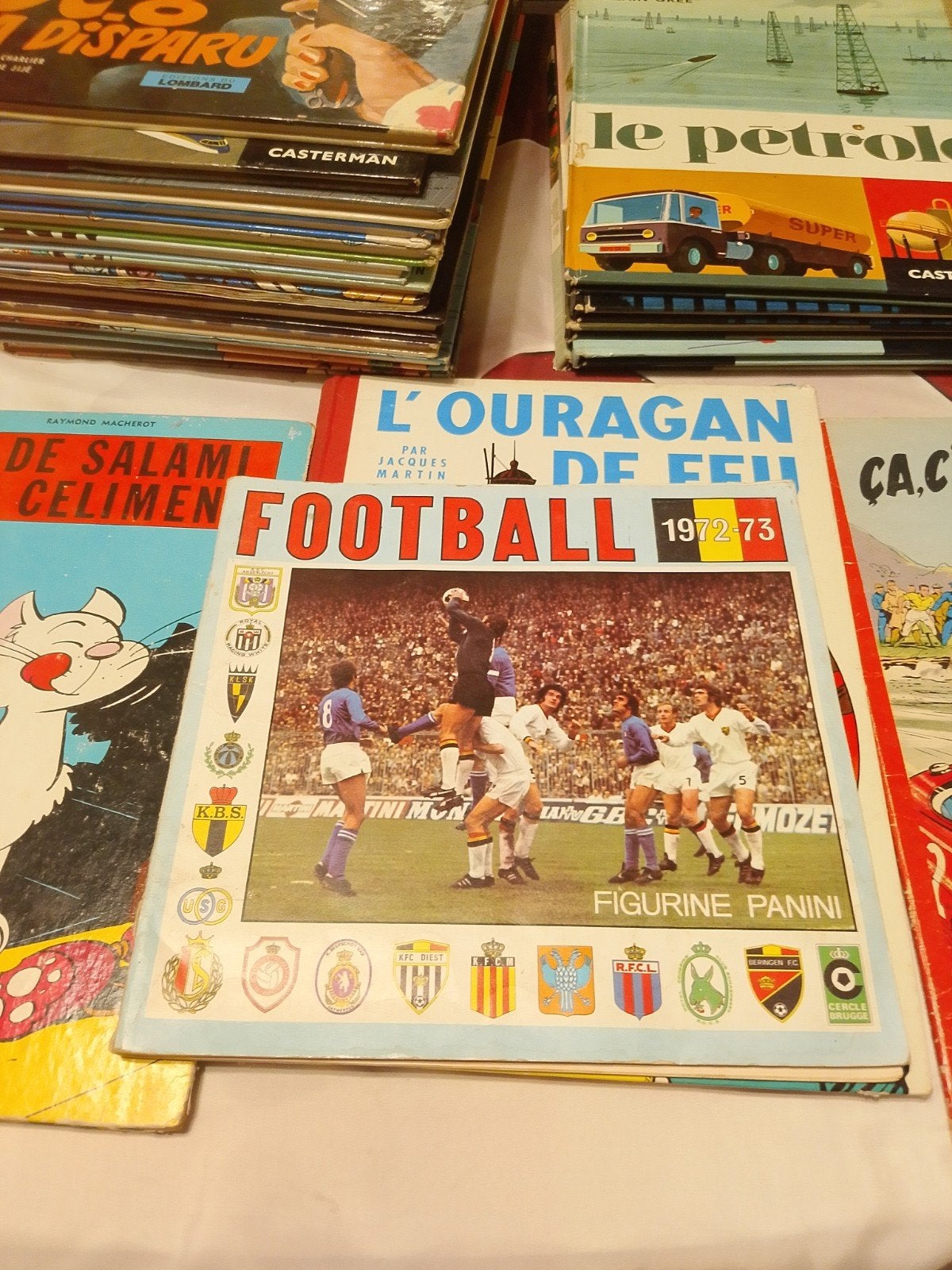 football Anne 1972 -73, Collections, Enlèvement
