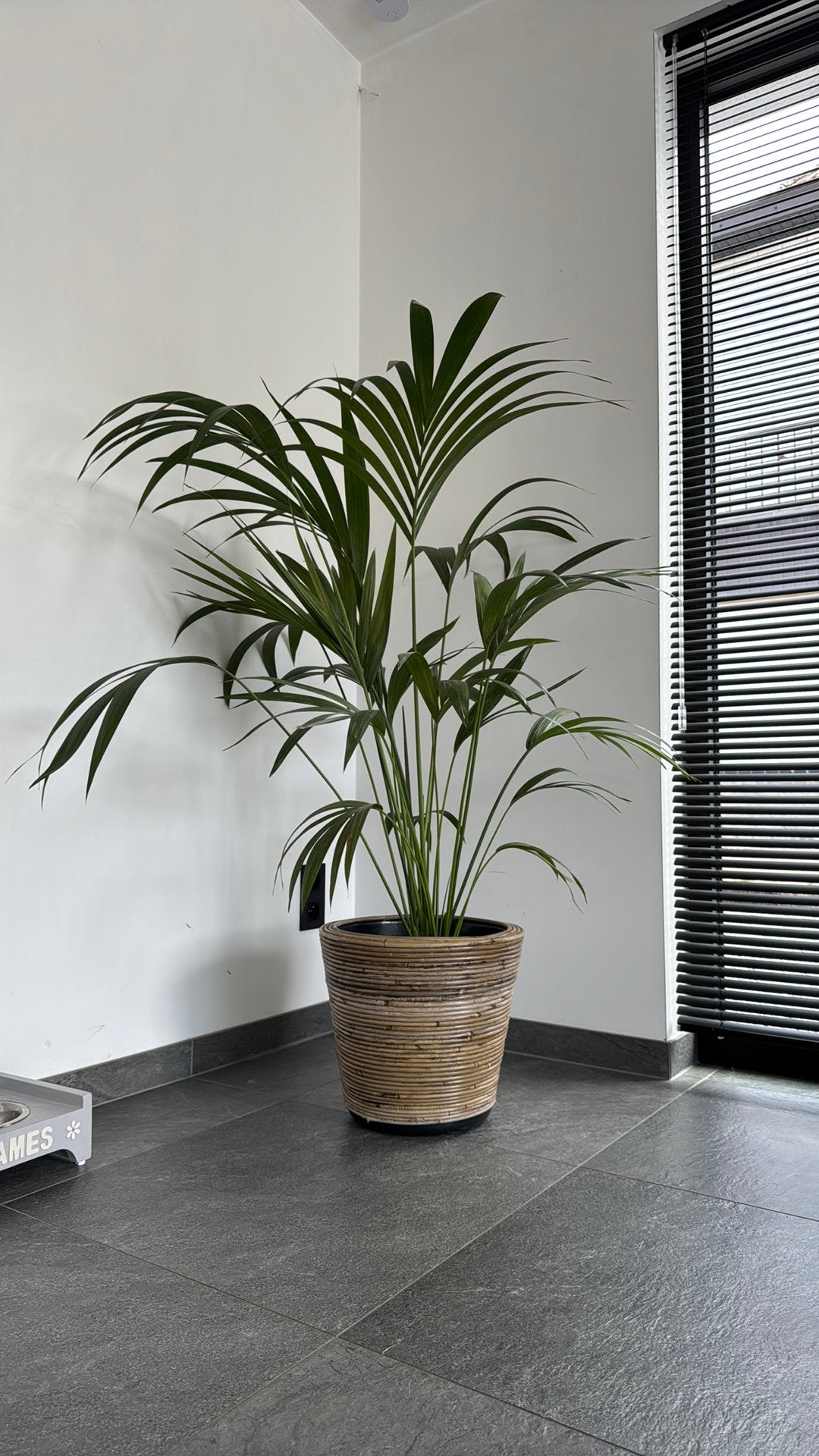 Plant, Ophalen