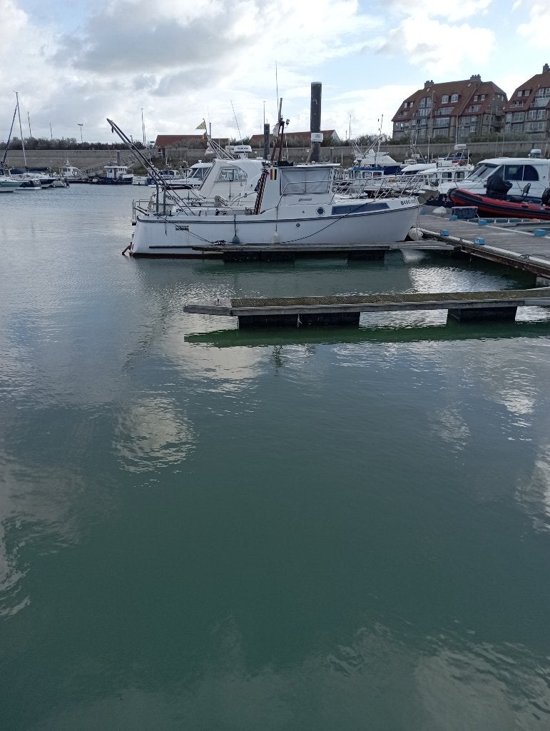 Kirie visboot     gereserveerd, Watersport en Boten, Ophalen, Gebruikt