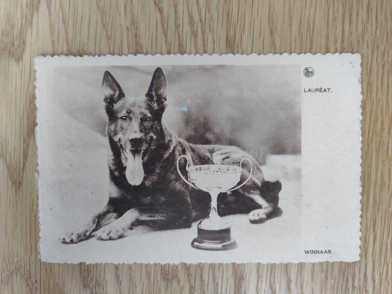 Chocolat Martougin lauréat winnaar, Envoi, Non affranchie, Nature
