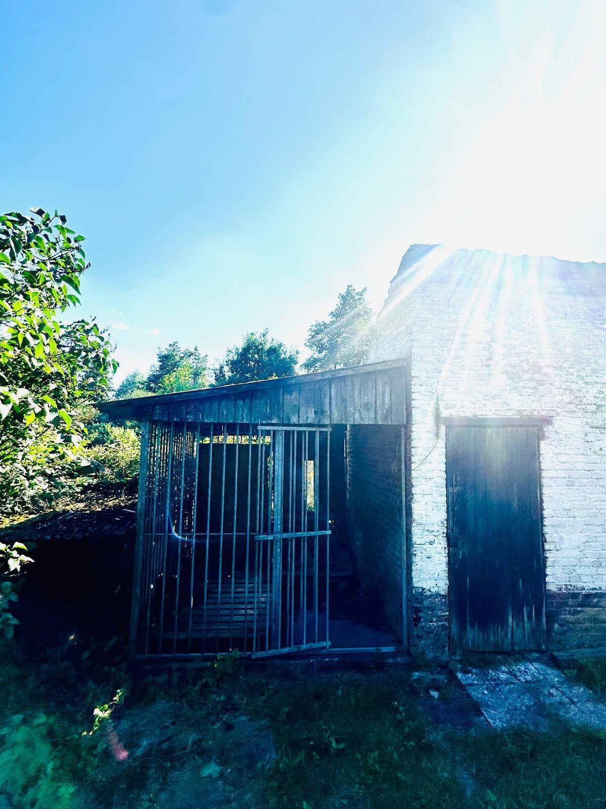 Hondenren, Dieren en Toebehoren, Ophalen, Gebruikt, Hondenren