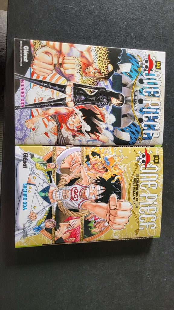 One Piece 44 et 45 Français, Enlèvement