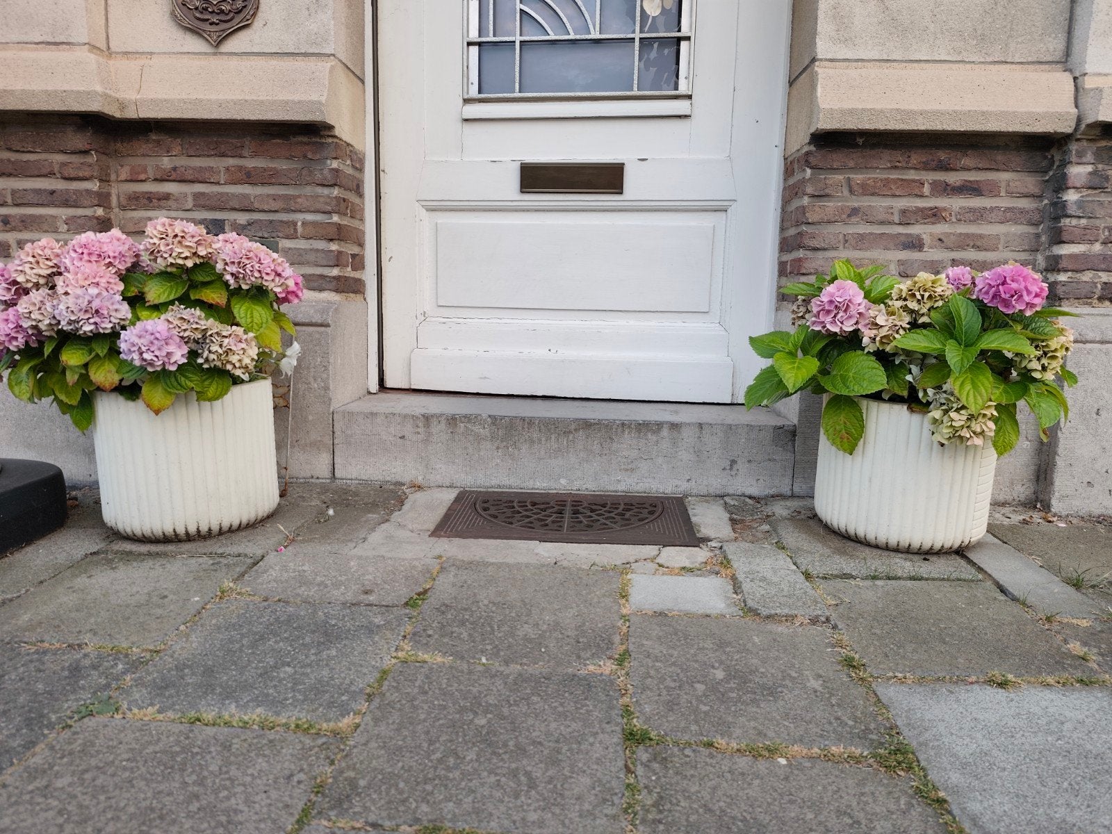 bloempotten met bloemen diam ca. 30 cm, Tuin en Terras, Ophalen