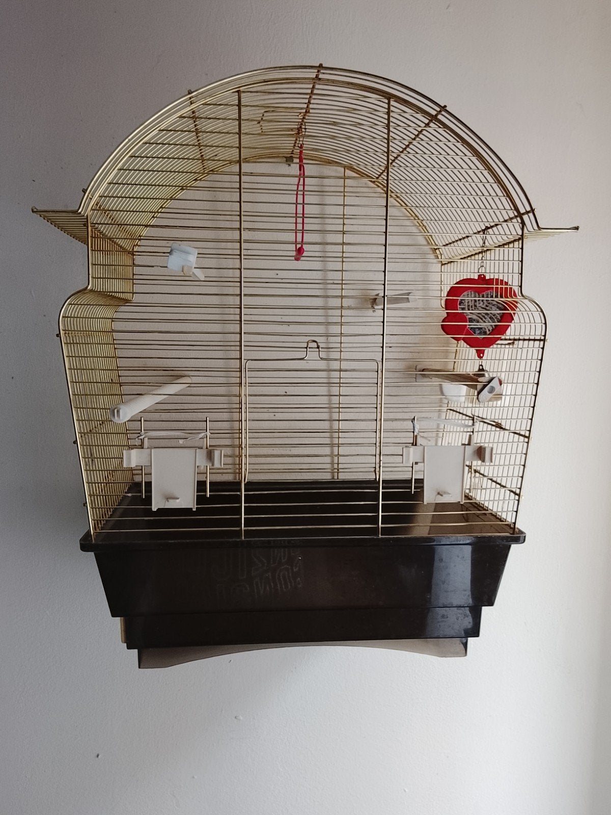 Cage oiseaux, Enlèvement