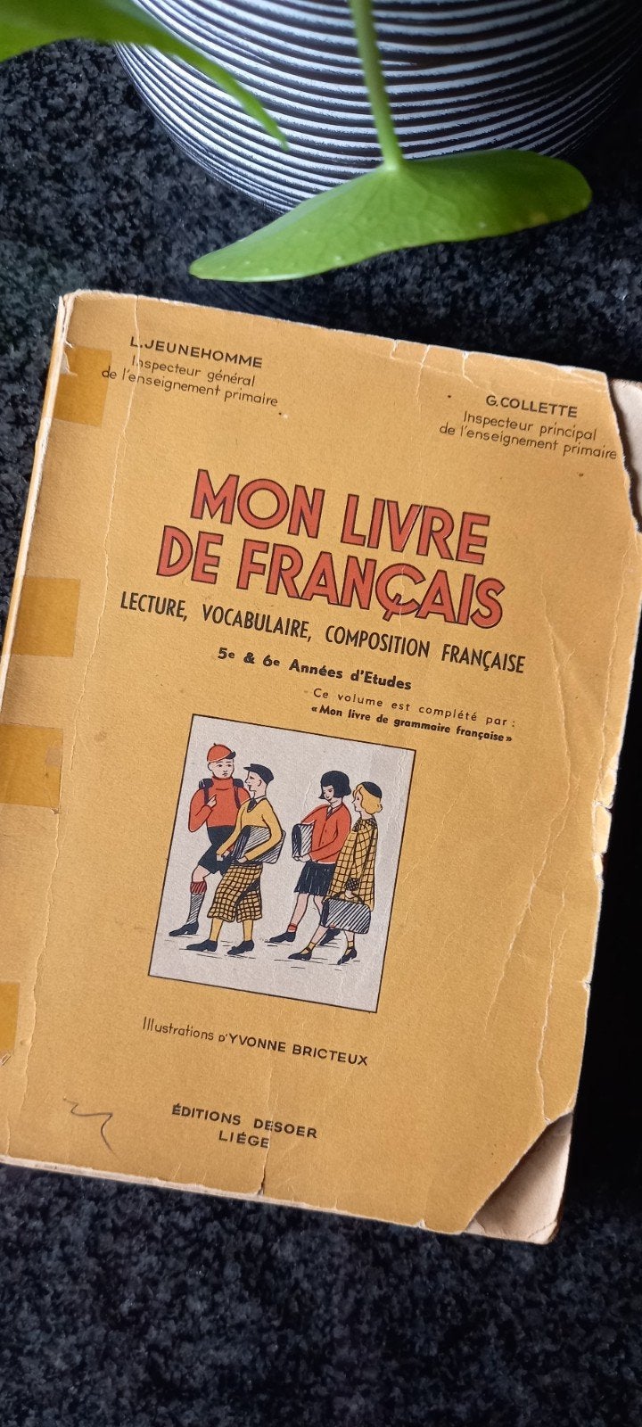 Mon livre de Français, Antiquités & Art, Enlèvement ou Envoi, Jeune homme. collette