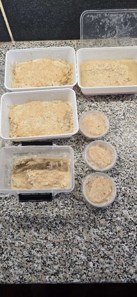 Superfood voor kleine visjes, Ophalen
