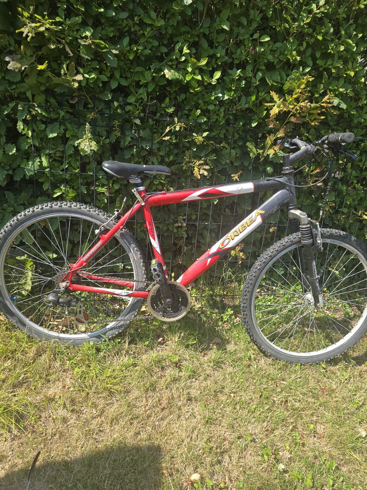 Vélo orbea, Enlèvement, Utilisé, 24 pouces ou plus