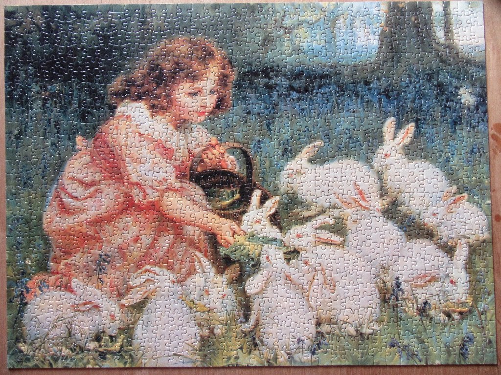 Puzzle 1000 pièces « Alice au pays des merveilles », Ophalen, 500 t/m 1500 stukjes, Gebruikt, Legpuzzel