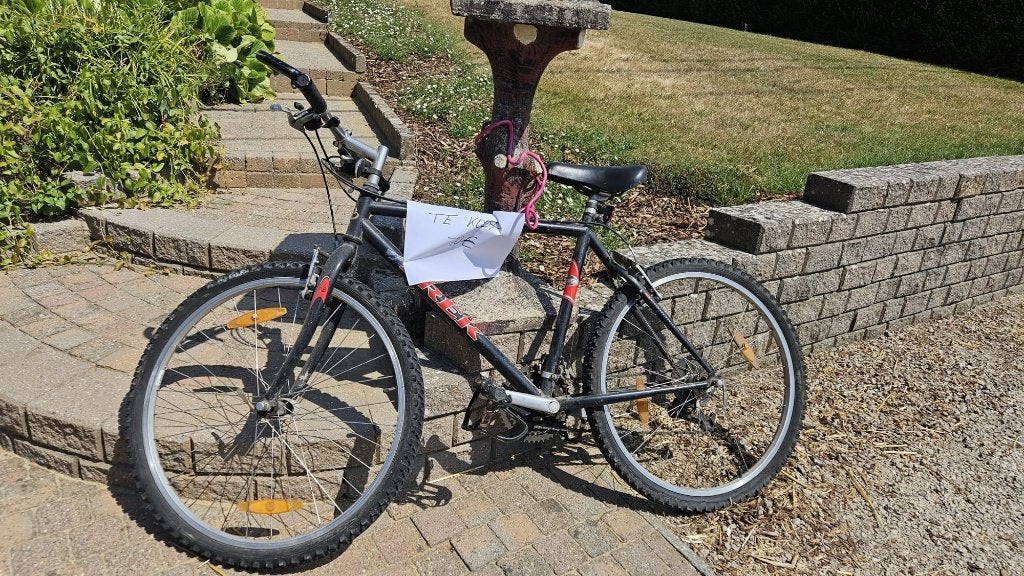 Mountainbike, Fietsen en Brommers, Fietsen | Mountainbikes en ATB, Ophalen, Gebruikt, Heren, Trek