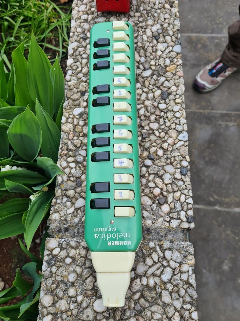 MÉLODICA HOHNER ALTO., Musique & Instruments, Enlèvement