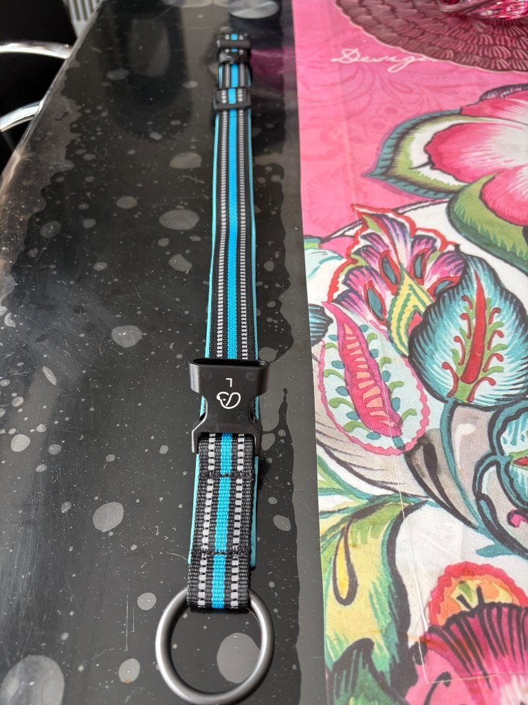 Collier chien, Ophalen of Verzenden, Nieuw, Halsband
