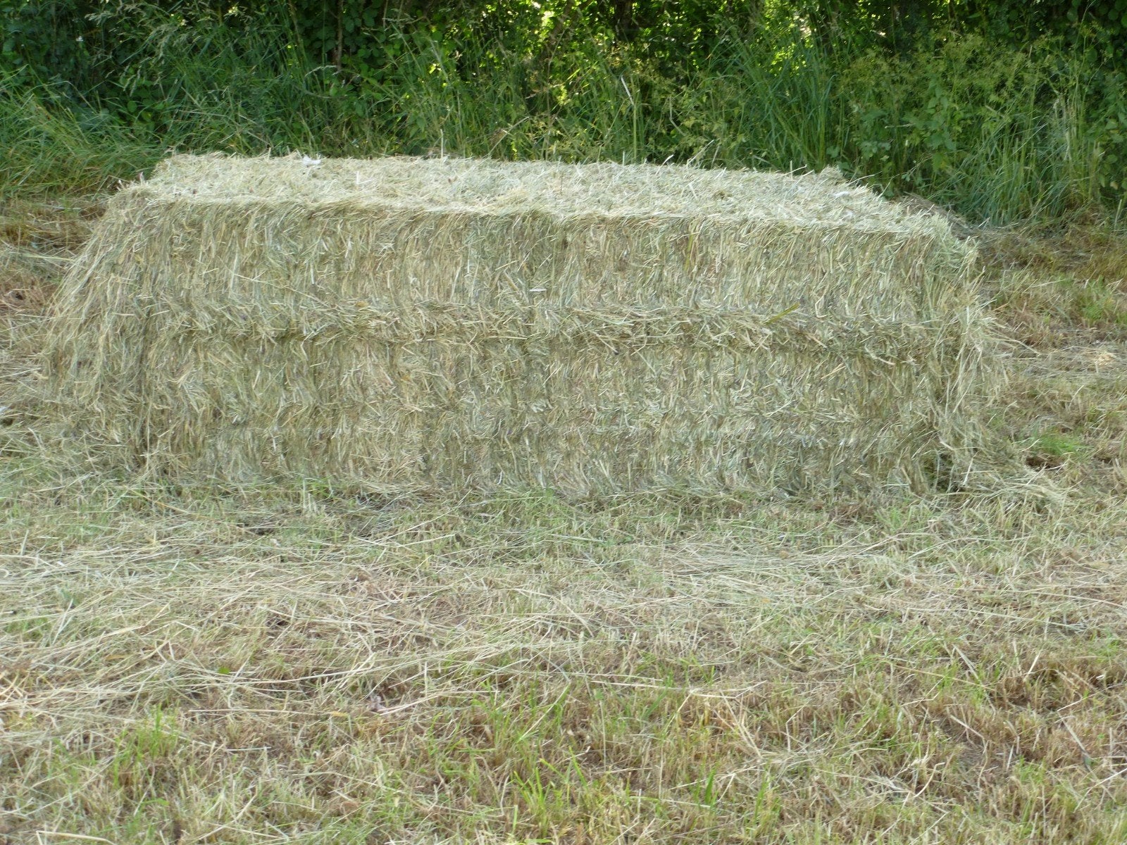 Nouveau foin et fourrage  bio 2026 top qualité, Animaux & Accessoires, Nourriture pour Animaux, Enlèvement