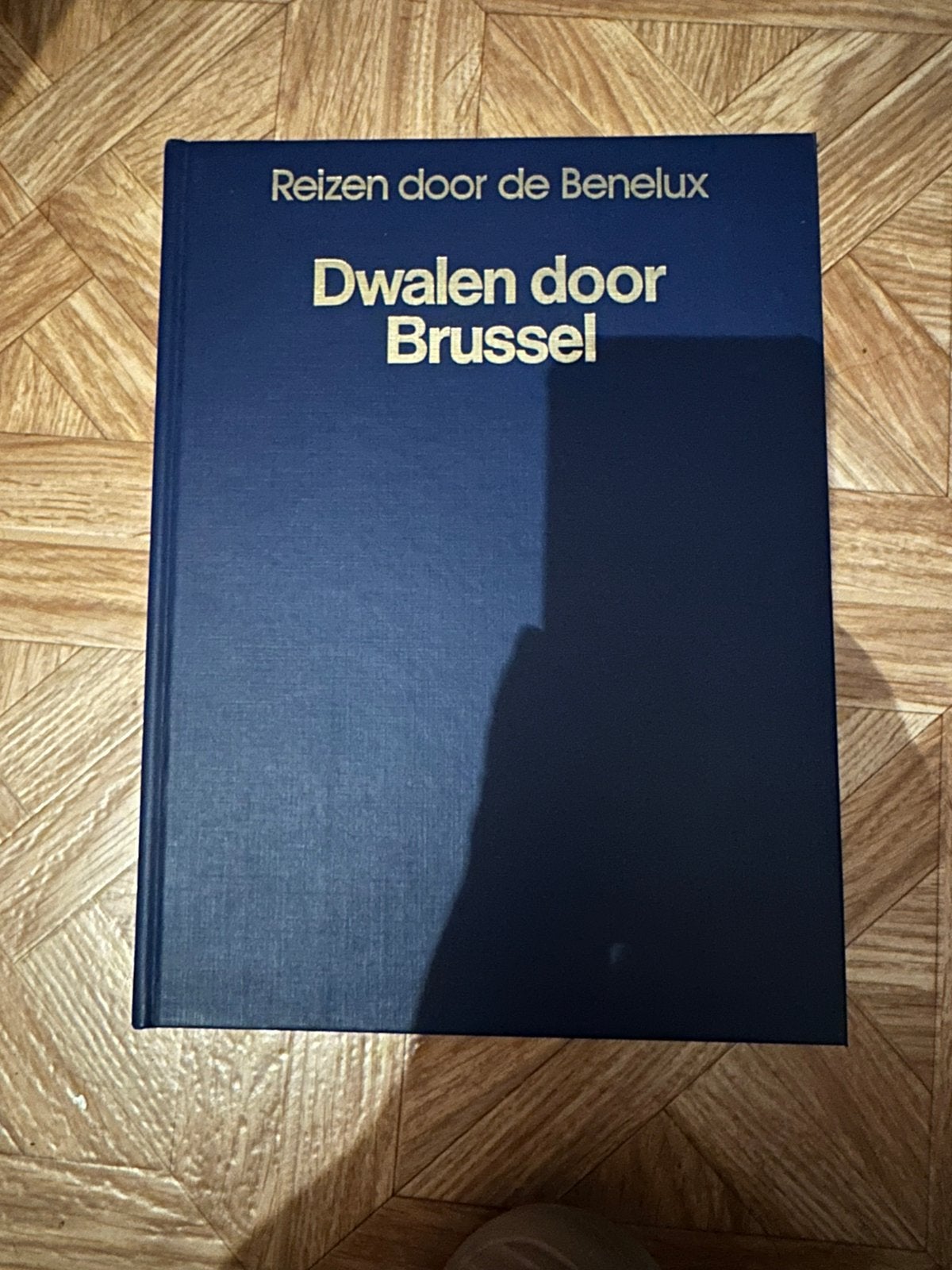 Réservez Une balade à travers Bruxelles, Livres, Enlèvement, Comme neuf, Autres sujets/thèmes