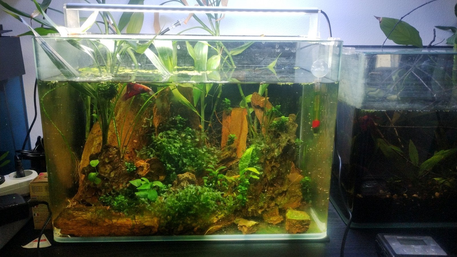 45cm aquascape set met Chihiros verlichting, Dieren en Toebehoren, Ophalen, Filter, Chihiros