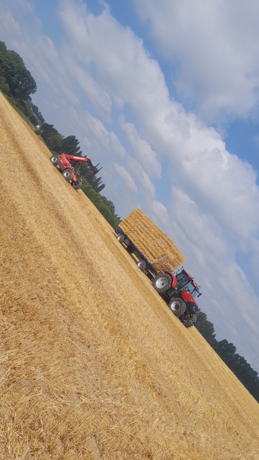 Grote balen stro, Zakelijke goederen, Landbouw | Aardappelen, Groenten, Fruit en Vlees, Ophalen