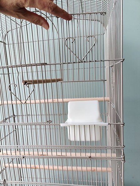 NOUVELLE CAGE À OISEAUX, Animaux & Accessoires, Oiseaux | Cages & Volières, Enlèvement, Cage à oiseaux