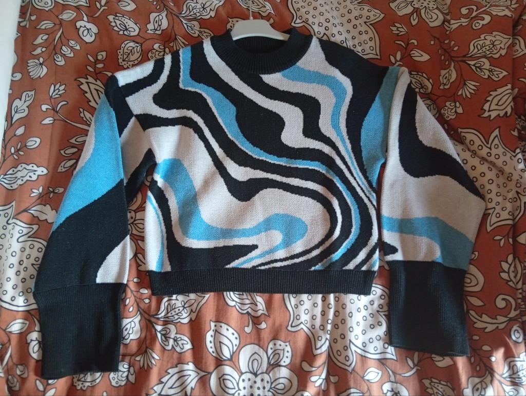 Trui maat S, Kleding | Dames, Page One, Ophalen, Gedragen, Maat 36 (S)