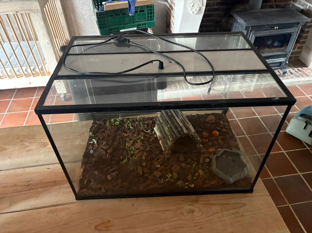 Terarium, Enlèvement, Comme neuf