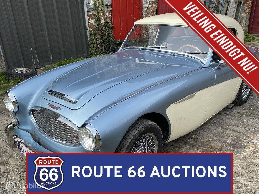 Austin-Healey 100-6 BN4 | 1957 | Route 66 Auctions, Autos, Oldtimers & Ancêtres, Entreprise, Boîte manuelle, Autre carrosserie
