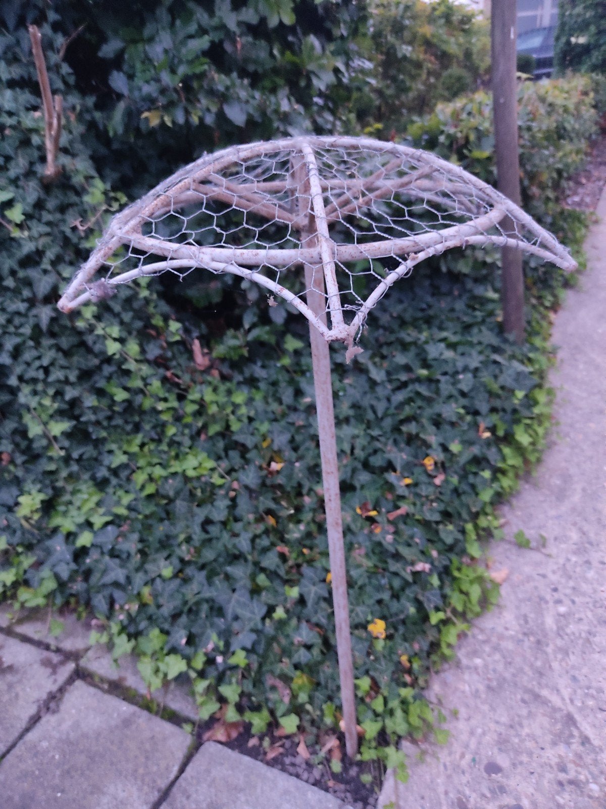Decoratieve paraplu., Tuin en Terras, Ophalen