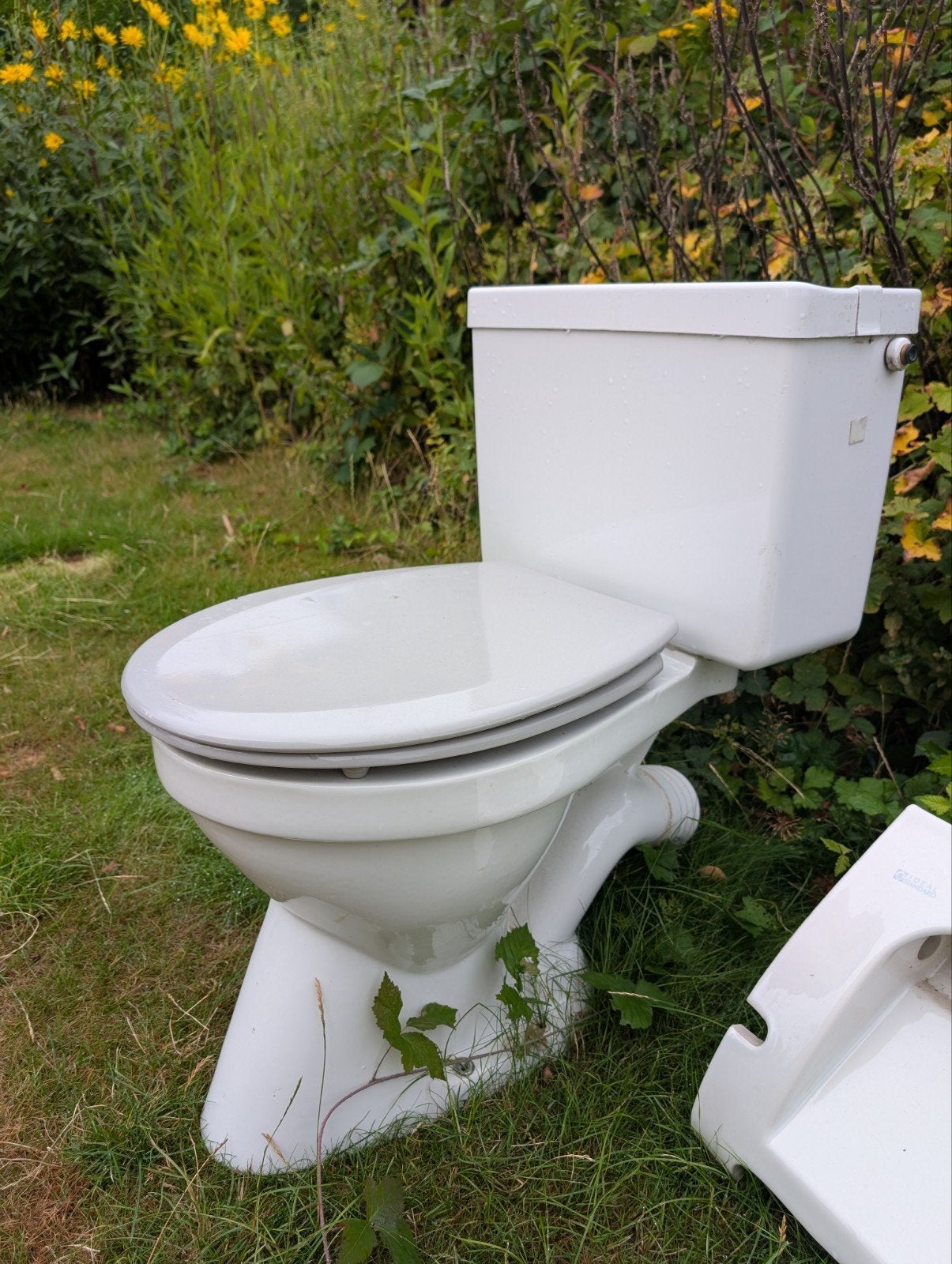 Wc / toilet, Ophalen, Toilet