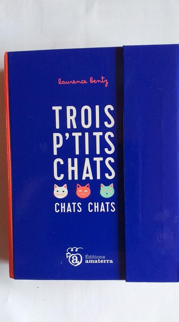 drie kleine katten Laurence Bentz, Kinderen en Baby's, Speelgoed | Educatief en Creatief, Gebruikt, Ophalen of Verzenden