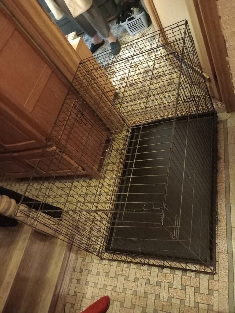 Cage chien, Ophalen