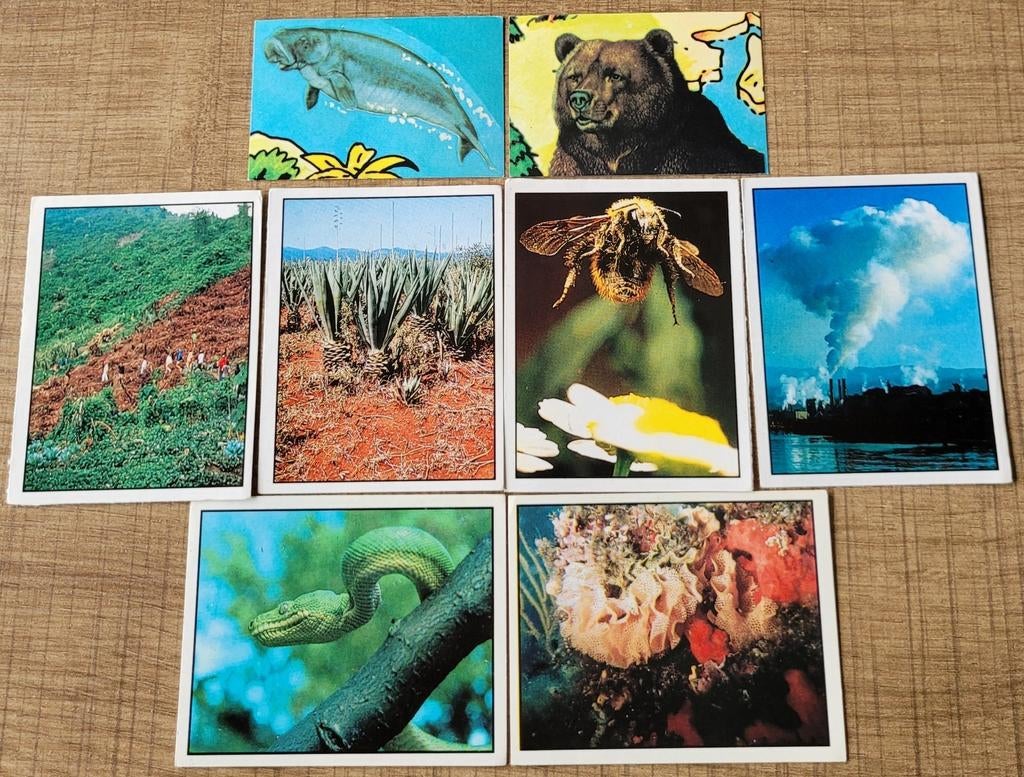 8 Panini stickers: WWF reeksen natuur, Verzamelen, Ophalen of Verzenden, Zo goed als nieuw, Dier en Natuur