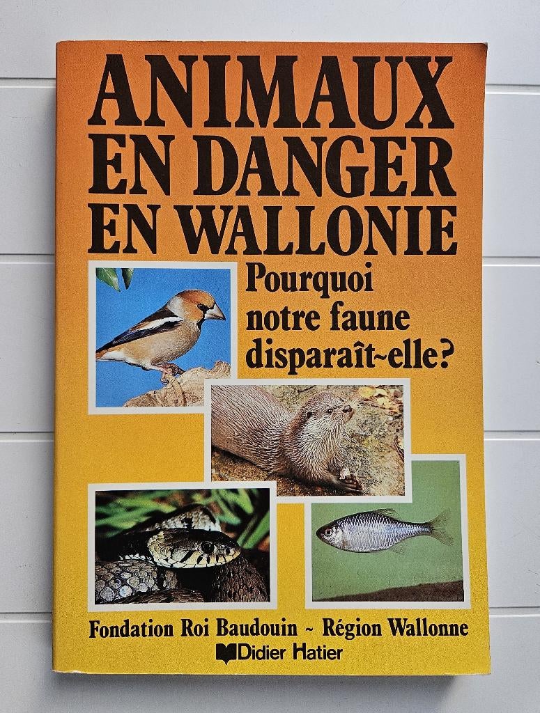 Animaux en danger en Wallonie : pourquoi notre faune dispar, Enlèvement ou Envoi, Utilisé, Collectif