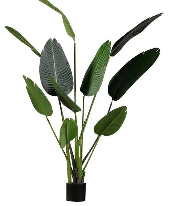 Artificieel plant, Ophalen, Zo goed als nieuw