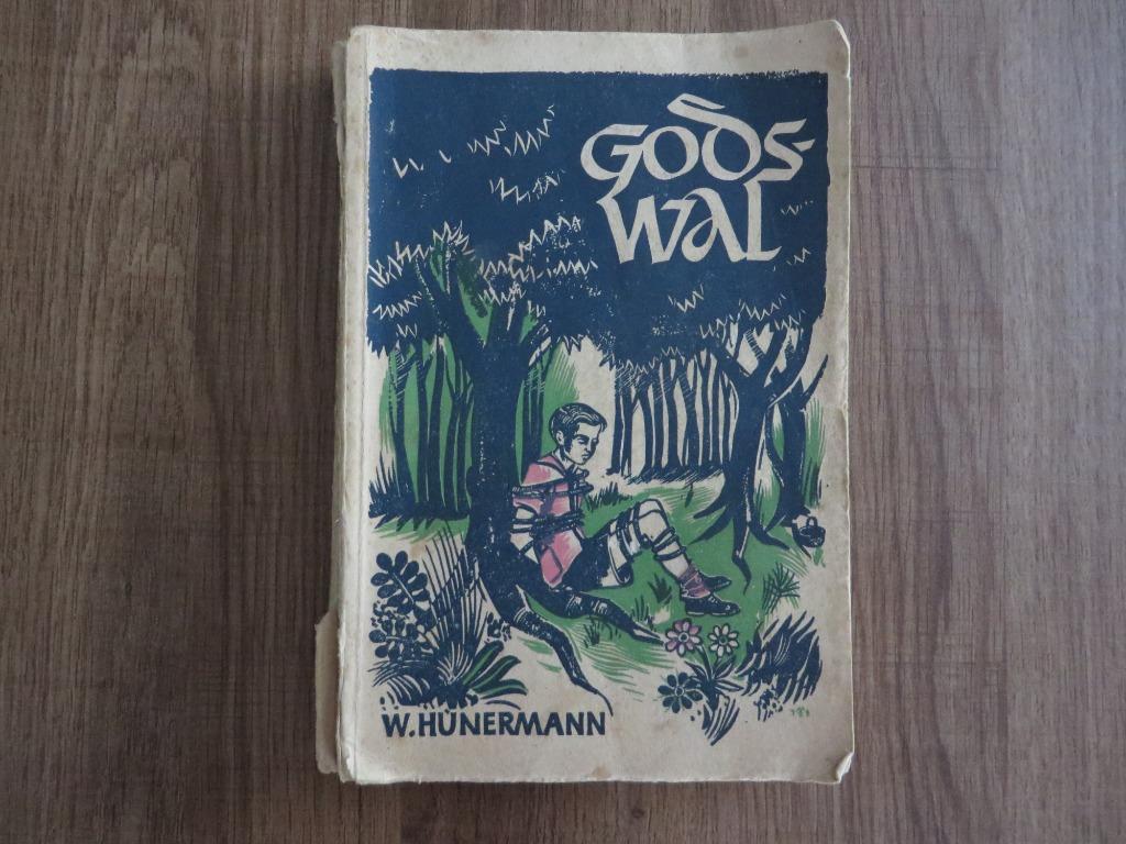 Jeugdreeks van het Davidsfonds "Godswal", Ophalen of Verzenden