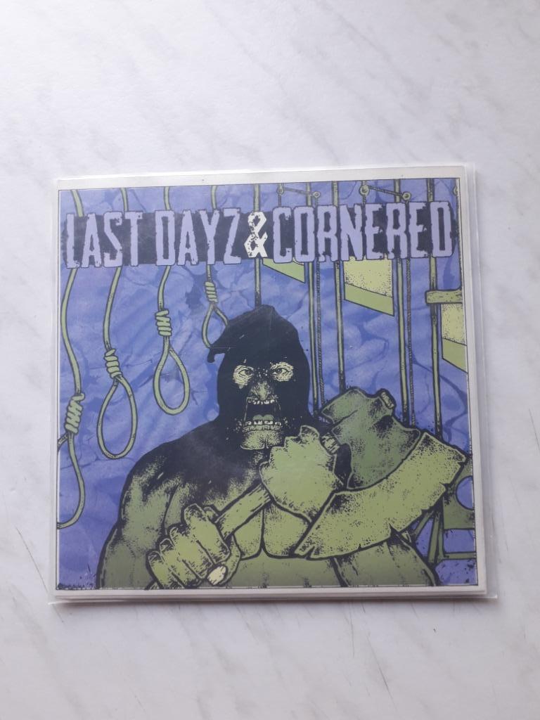 Last Dayz / Cornered (split 7") hardcore, Envoi