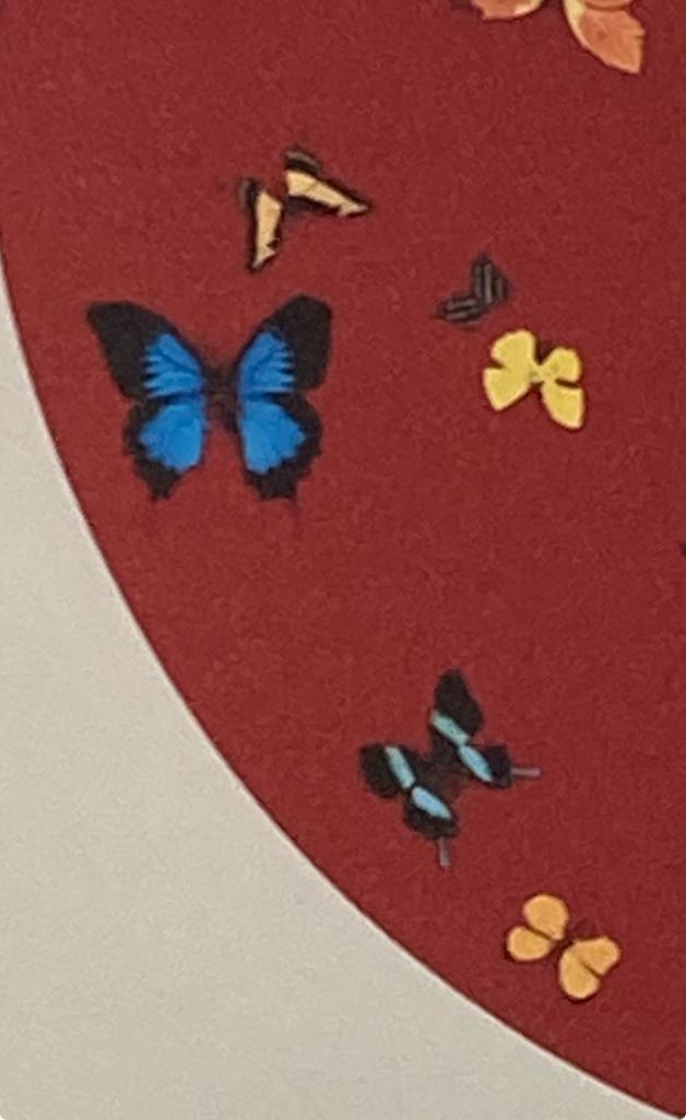 Gedrukt naar Damien Hirst. Beperkte oplage, Ophalen of Verzenden