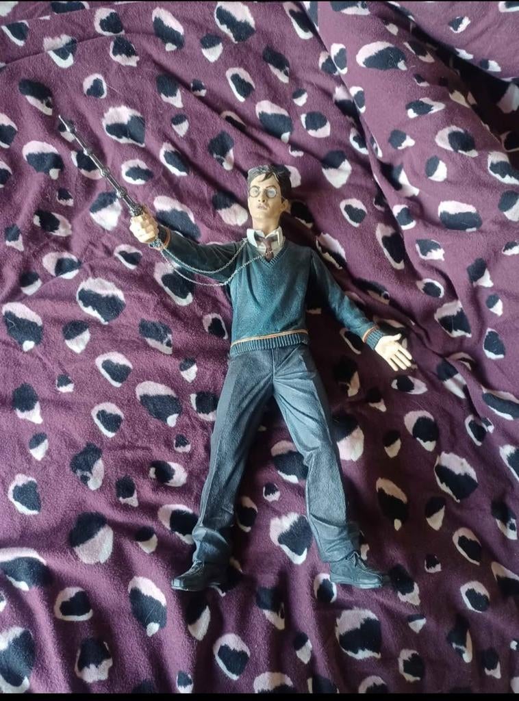 Harry potter, Collections, Harry Potter, Enlèvement ou Envoi