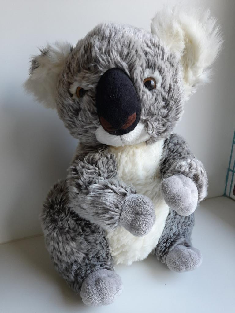 knuffel koala van Zoo Planckendael, Enlèvement ou Envoi, Comme neuf