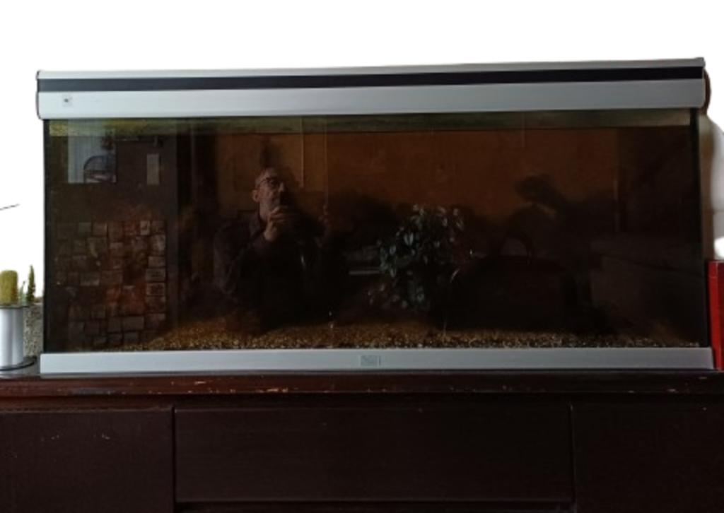 aquarium, Ophalen, Zo goed als nieuw, Gevuld zoetwateraquarium