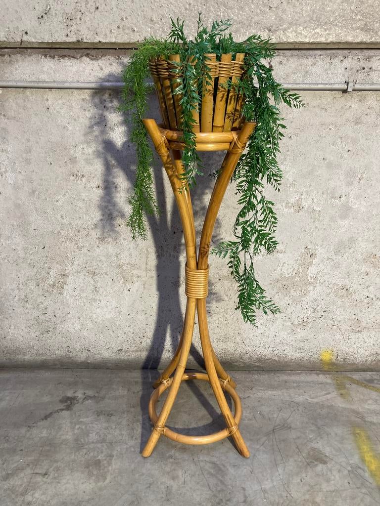 Bamboe plantenstaander, Ophalen, X, X, X