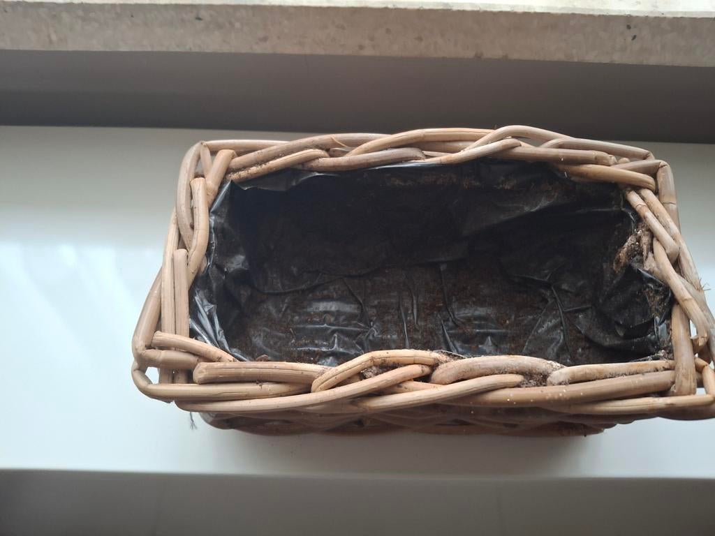 Plant mandje, Tuin en Terras, Ophalen